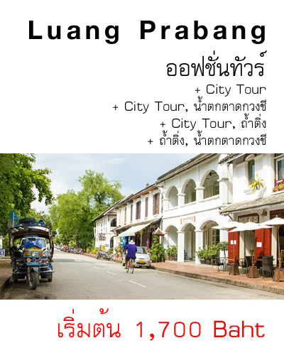 ออฟชั่นทัวร์